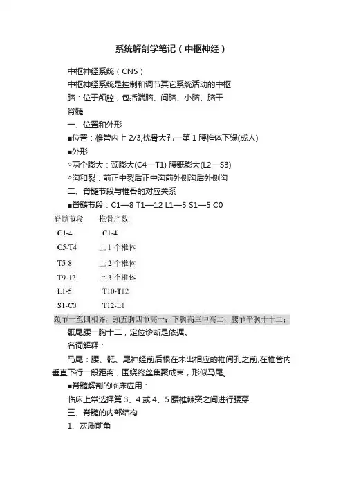 系统解剖学笔记（中枢神经）