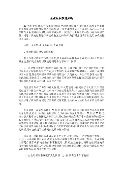 企业组织演进分析