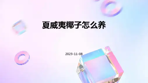 夏威夷椰子怎么养