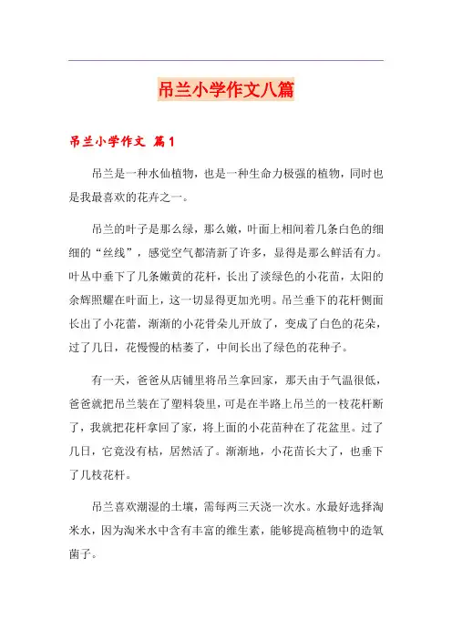 吊兰小学作文八篇(多篇)