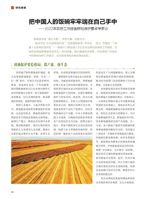 把中国人的饭碗牢牢端在自己手中——2022年政府工作报告耕地保护要点专家谈