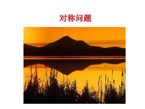 对称问题PPT完美课件