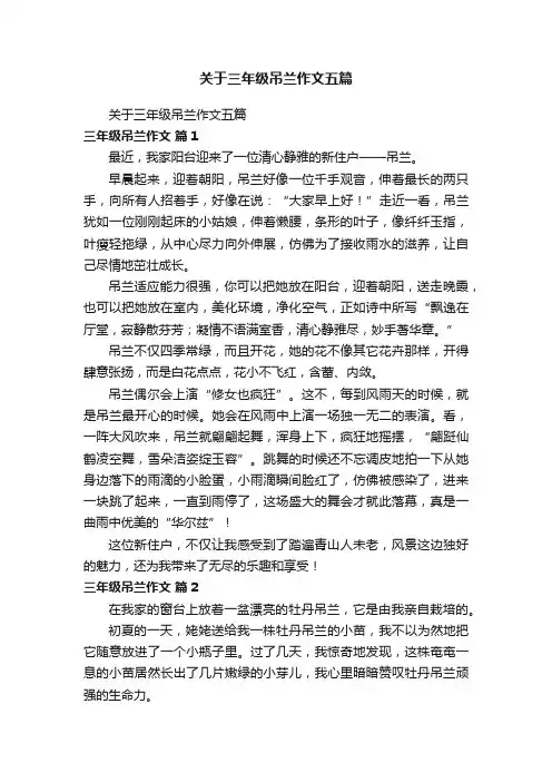 关于三年级吊兰作文五篇