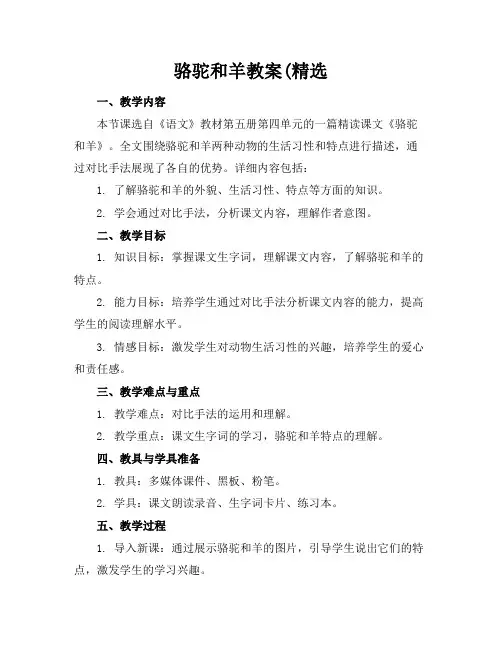 骆驼和羊教案(精选(1)