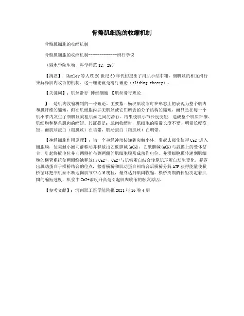 骨骼肌细胞的收缩机制