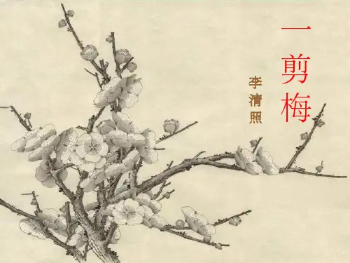 《一剪梅》 (共52张PPT)