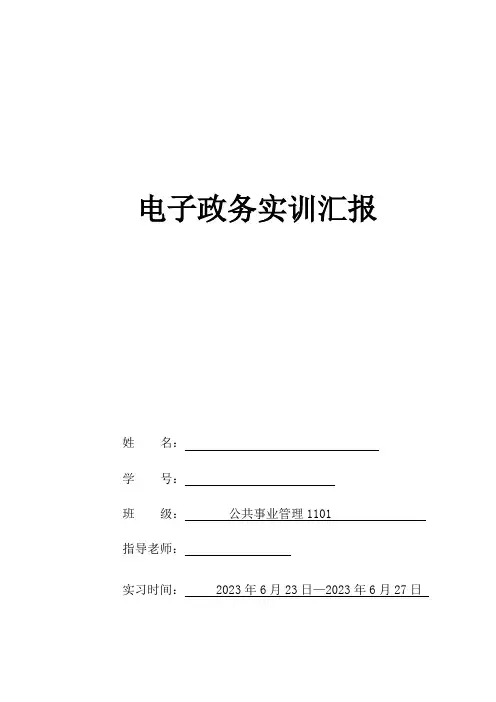 电子政务实训报告