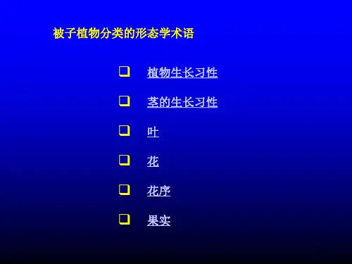 被子植物分类的形态学术语(2)