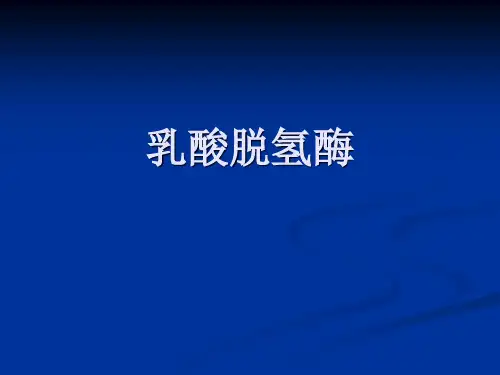 乳酸脱氢酶  医学生用的生化学习