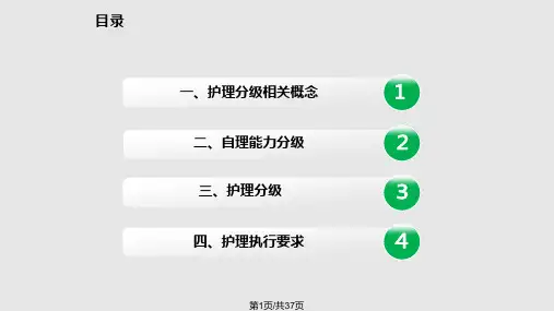 分级护理PPT课件