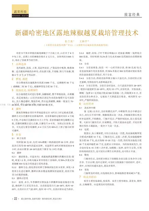 新疆哈密地区露地辣椒越夏栽培管理技术