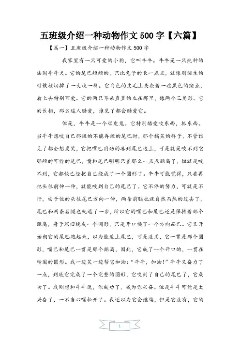 五年级介绍一种动物作文500字【六篇】