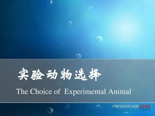 实验动物的选择