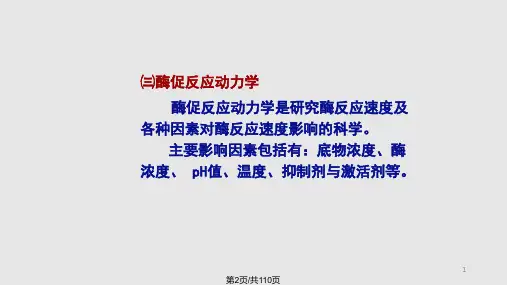 酶生物传感器.pptx