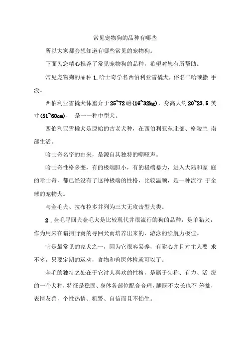 常见宠物狗的品种有哪些