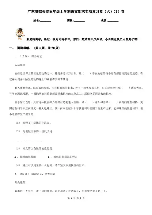 广东省韶关市五年级上学期语文期末专项复习卷(六)(I)卷