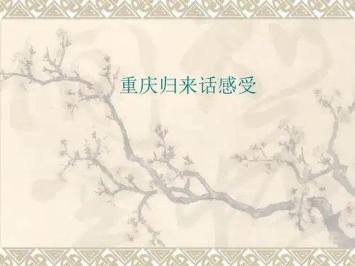 重庆归来话感受