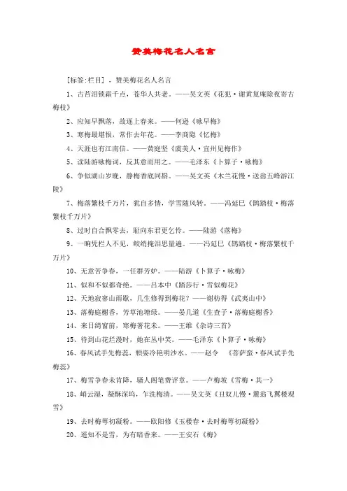 赞美梅花名人名言
