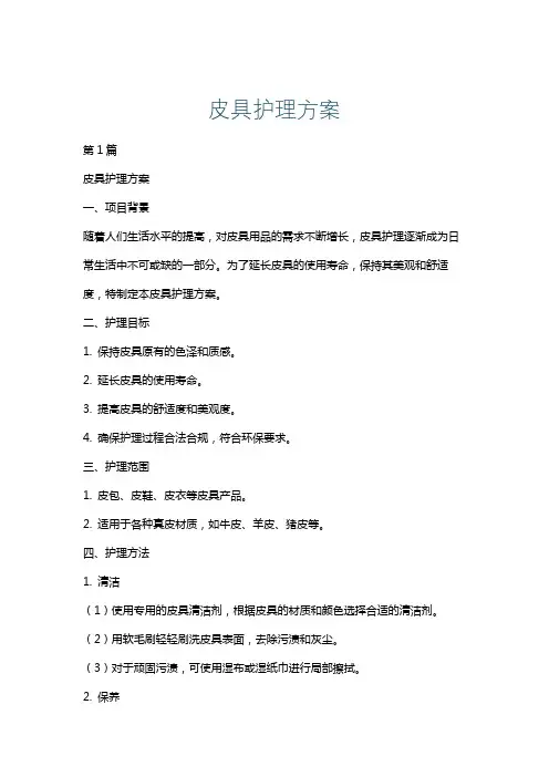 皮具护理方案