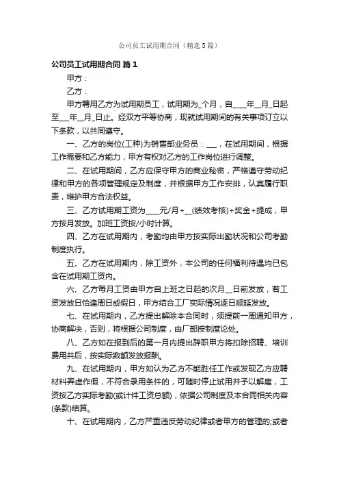 公司员工试用期合同（精选5篇）