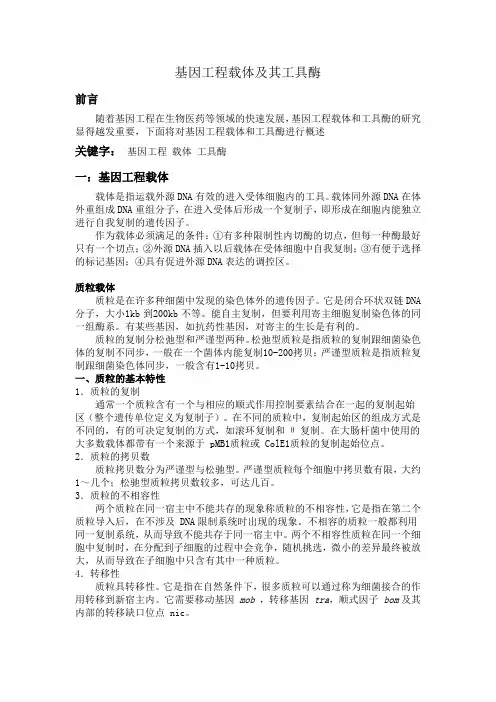 基因工程载体及工具酶