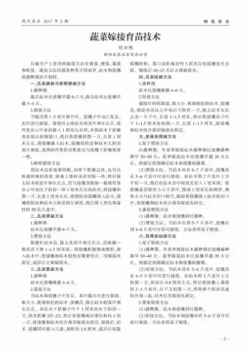 蔬菜嫁接育苗技术