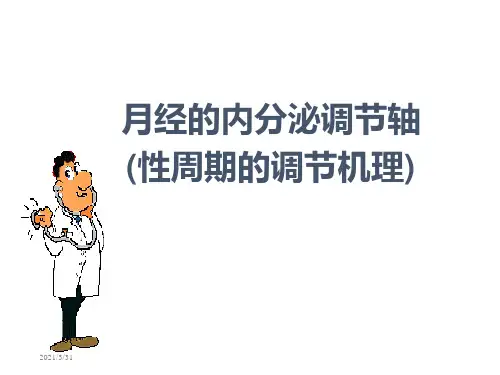 月经的内分泌调节轴.ppt
