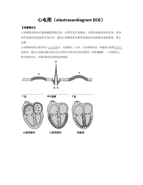 心电图(ECG)学习文档