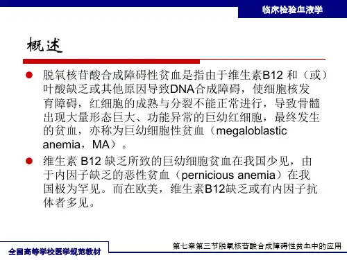 脱氧核苷酸合成障碍性贫血中的应用