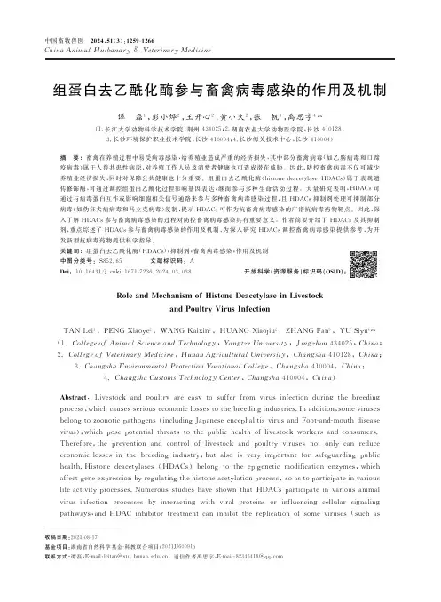 组蛋白去乙酰化酶参与畜禽病毒感染的作用及机制