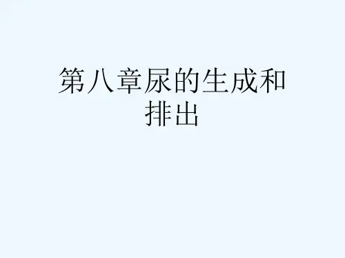 第八章尿的生成和排出[可修改版ppt]