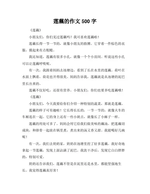 莲藕的作文500字