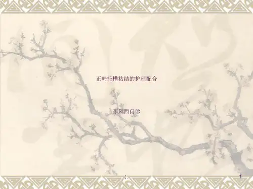 托槽粘结ppt课件
