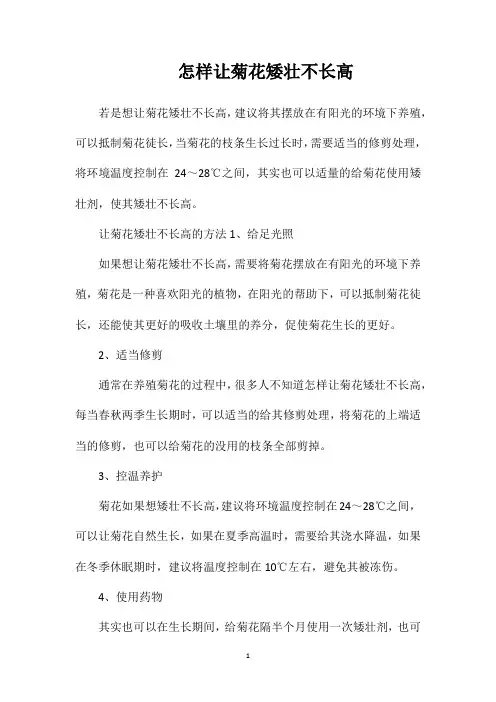 怎样让菊花矮壮不长高
