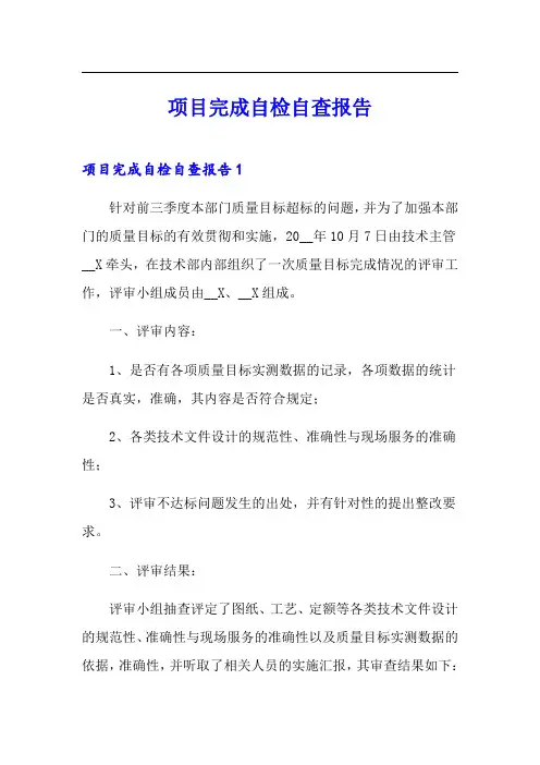 项目完成自检自查报告