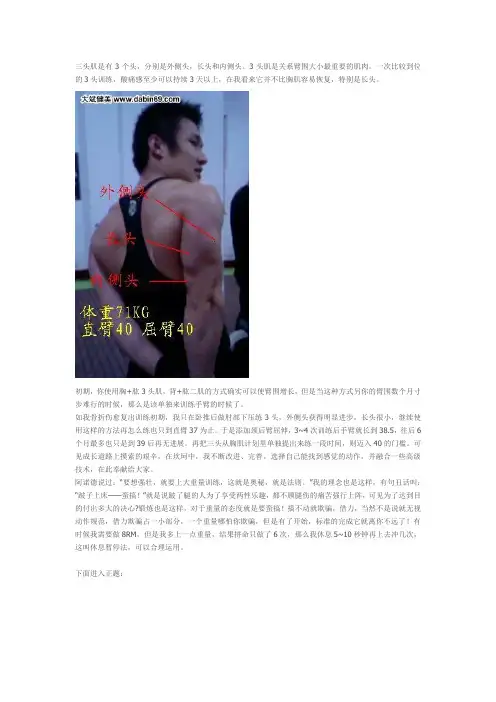 肱三头之道