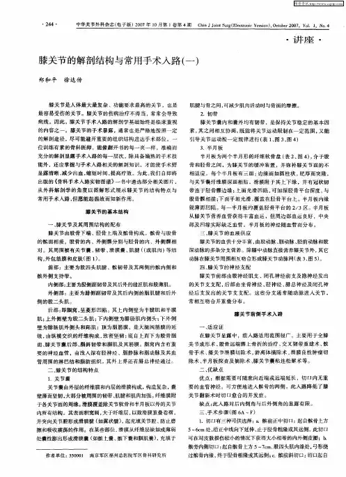 膝关节的解剖结构与常用手术入路(一)