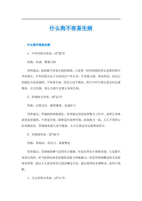 什么狗不容易生病