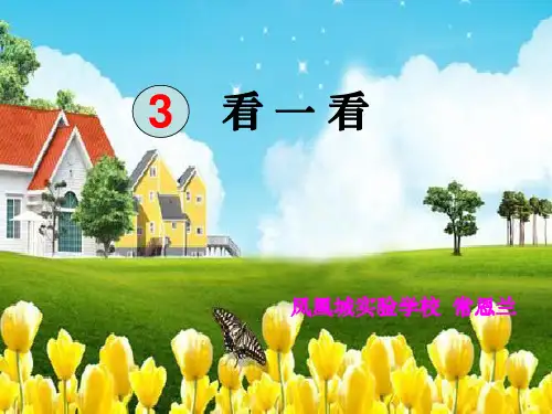 一年级科学《看一看》精ppt课件