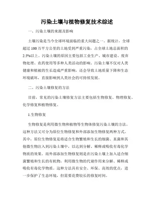 污染土壤与植物修复技术综述