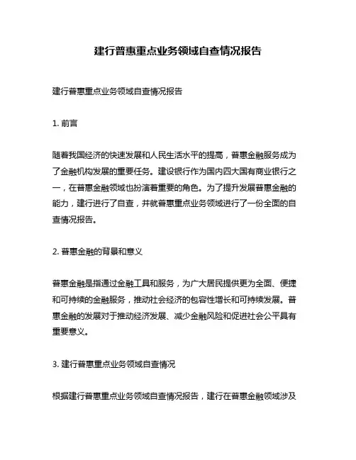 建行普惠重点业务领域自查情况报告