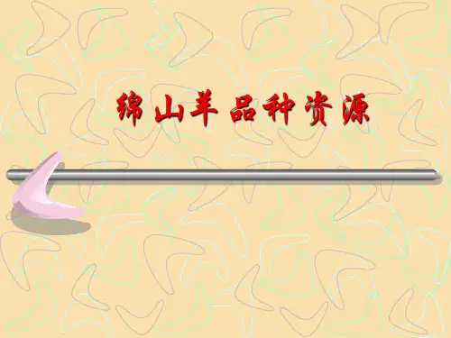 羊的品种(免费)