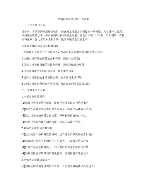 乡镇质量发展年度工作计划