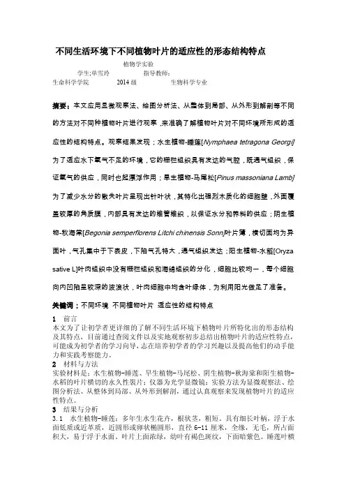 不同生活环境下不同植物叶片的适应性的形态结构特点