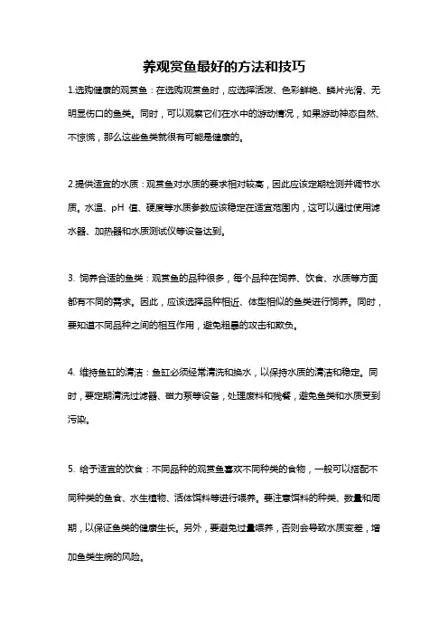 养观赏鱼最好的方法和技巧