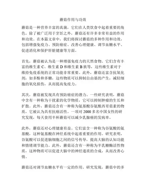 蘑菇作用与功效