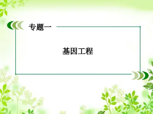 最新人教版 生物选修三：1.1《DNA重组技术的基本工具》ppt课件