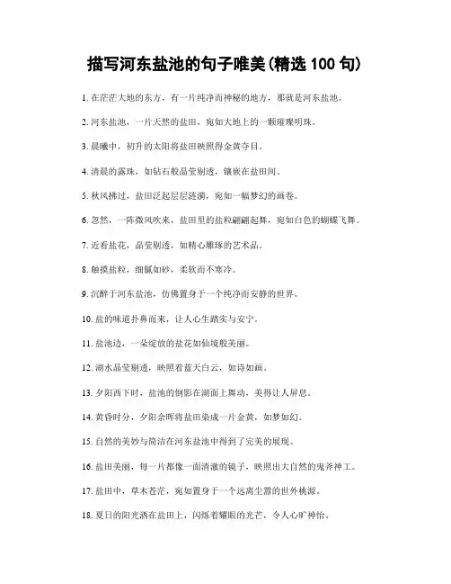 描写河东盐池的句子唯美(精选100句)