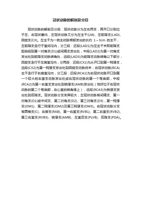 冠状动脉的解剖及分段