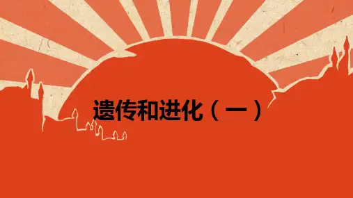 浙教版科学九年级下册-1.5-遗传和进化-课件(25张PPT)